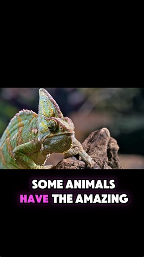 Incredible Facts About Amazing Lizards