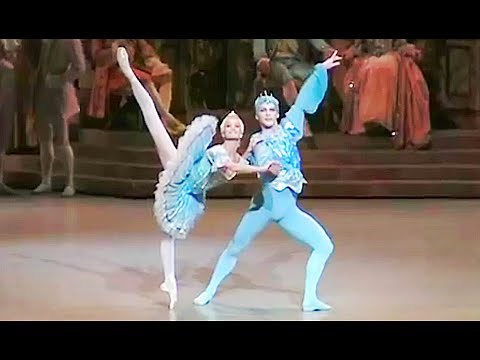 Bluebird PDD Variations & Coda - Paris Opera Ballet Sleeping Beauty