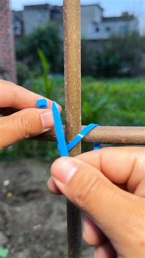 20K views · 48 reactions | Using ties to bind vegetable racks: tips and tricks #tips sharing #practical tips #tips sharing #tr | 思思小技巧 | Facebook