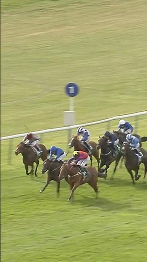 Joe Fanning's first Group 1... on his 46th birthday 🎂