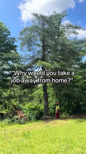 Blessed is an understatement | job