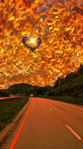 #creatorsearchinsights