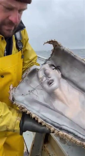 He Found a MERMAID EGG! 🥚🧜‍♀️ Inside the Shell #Shorts