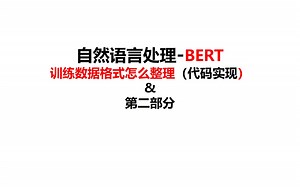 76-BERT训练数据格式整理（代码实现）-预训练模型-自然语言处理-深度学习-pytorch