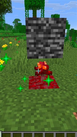 TREES GROW THROUGH BEDROCK?