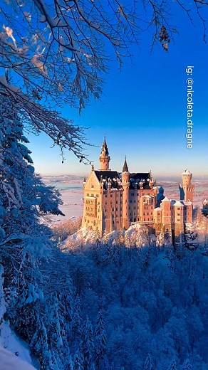 Fairytale castles in Germany 🇩🇪🤯 #travel #adventure #explore #nature #germany | TripInspo