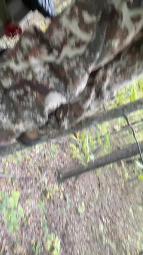 What camo you got? #camo #sitkagear #firstlitecamo