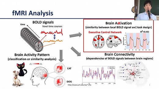 【官方授权】【fMRI Analysis】12-[Lesson8-session1]SPM 1st-level Analysis|功能核磁共振分析