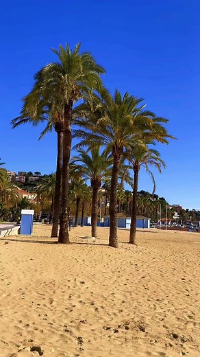 La plage centrale du Lavandou un jour d’automne #france #var #cotedazur #paradise #panorama #relax #beauty #video | Jeremy Vtt