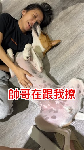 星座家族 雙魚座 on Instagram: "狗狗表示：整天發作？🍦😍 誰跟我一樣整天犯吸狗毒癮 處女座胸肌真的很大🔥 好爽～～～ 這邊有帥哥有人要吸嗎？ d385"