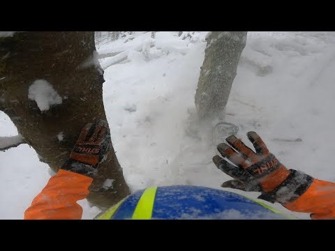 Logging in Norway ep.1