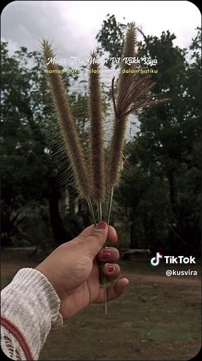 HarQeel (@kusvira)’s videos with suara asli - kusvira - HarQeel