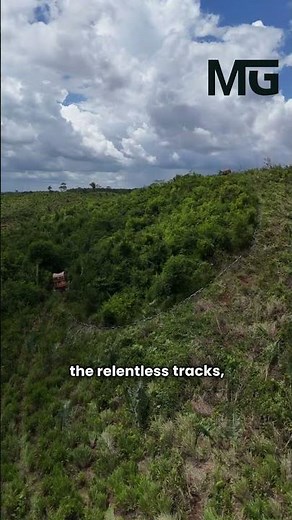 Bulldozer & Chain: Unstoppable Forest Clearing