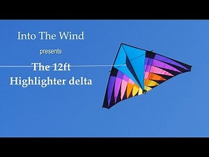 Into The Wind 12ft Highlighter Delta Kite