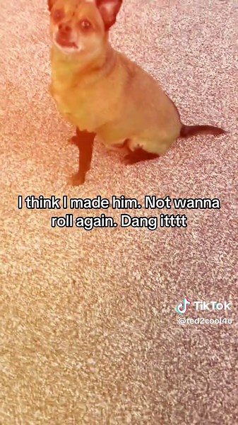 ted (@ted2cool4u)’s videos with Using My Sound - Super Lit Purble Place