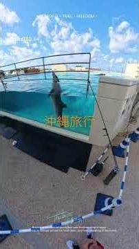 おじさんの一人旅 沖縄#旅行# travel