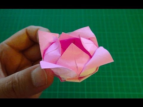 origami 【flower／lotus】