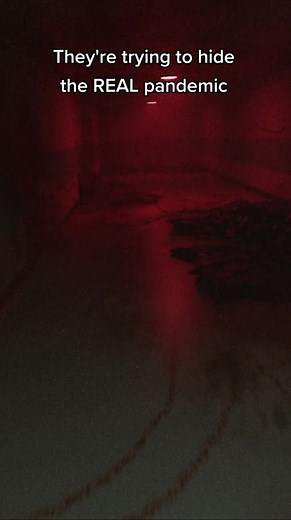 Unveiling the Unseen: Exploring Paranormal Signs and Cryptids