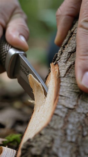 The Perfect Wood Carve 🪵🔪 | 4K ASMR