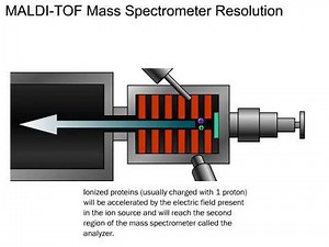 How a Mass Spectrometer Works (Life Sciences Outreach, Harvard University)