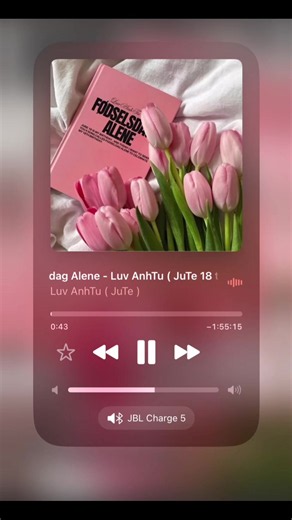 Nhạc Hay Mỗi Ngày: Luvhouse #10 - Fedselsdag Alene - Luv AnhTu