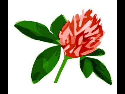 Clover Portal Introduction