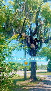 Are you thinking what I’m thinking? Lol 😂 #crafting #craftsupplies #crafty #FreeMoss | Lizzy and Erin