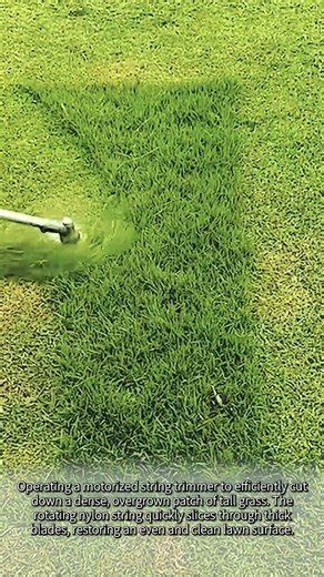 Satisfying lawn care: String trimming tall grass #worker #process #lawncare #landscaping #trimming
