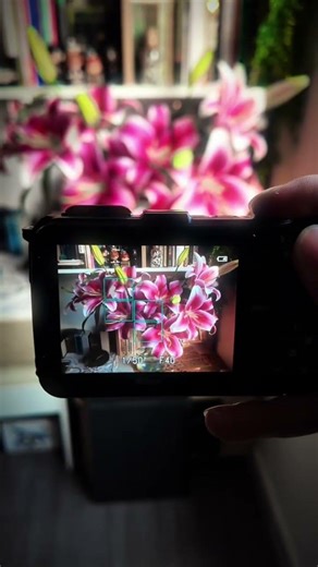 📸 No Fear Shooting / Don’t forget to check the description 🎰