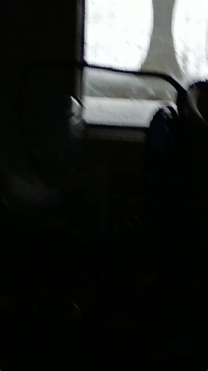 after the Storm I put nuts and dried cereal and oats out in the birds went crazy.. it's well after 2:00 p.m. it is still snowing.