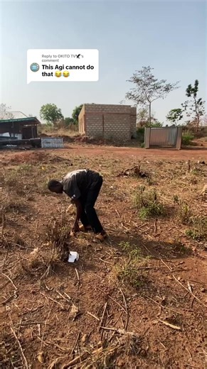 Exploring the Power of Words in Languages