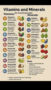 Essential Vitamins & Their Functions | Complete Guide to Daily Nutrition!
