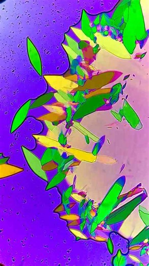 I Left This Microscopic Experiment For 3 Years - Totally Worth The Wait!I