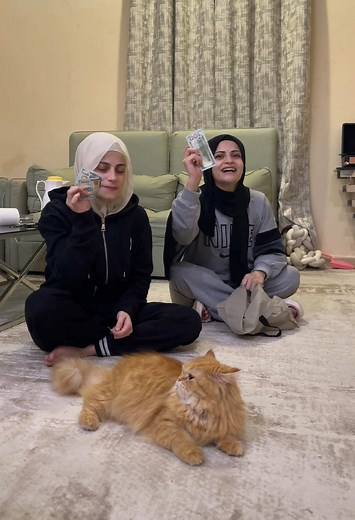 تحدي القطة مع نانو وام سيف