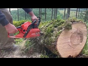 Gearhead Ported Echo CS-490 Doing Work With a Full Bar's Worth of Wood Under Pressure