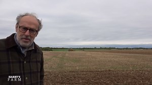 New wheat crop and solar panel projects take shape