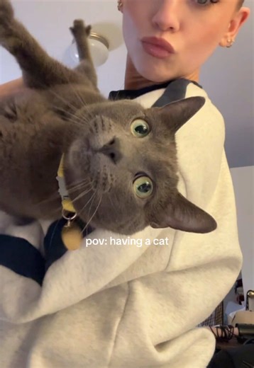 he's very desensitized if you couldn't tell