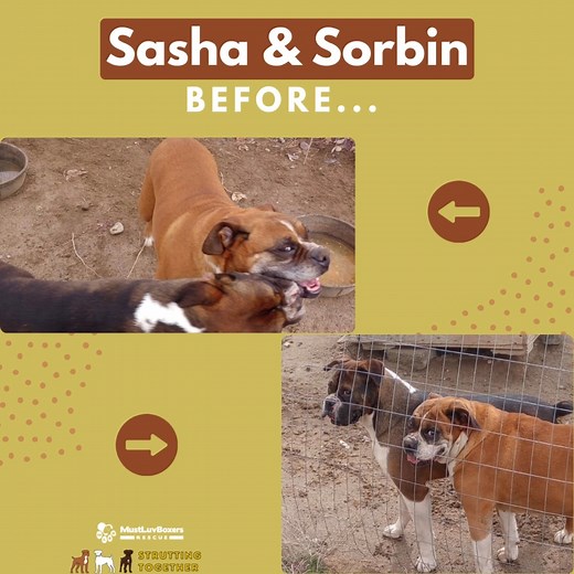 1.5K views · 46 reactions | Friends, Your donations are hard at work...