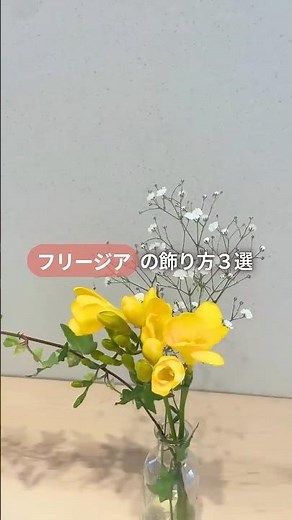【センス0でも映える】超簡単フリージアの飾り方3選