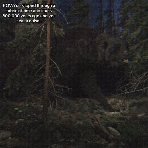 Exploring the Prehistoric World of Short-Faced Bears