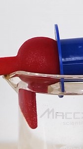 The drinking bird drinks faster 🐦