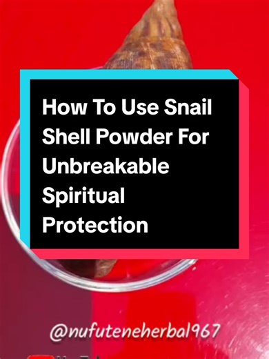 How To Use Snail Shell Powder For Unbreakable Spiritual Protection