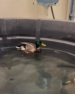 Cape Wildlife Center on Reels