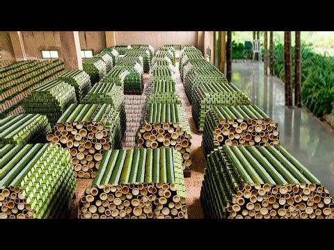 How to Processing Millions Bamboos to Product | Bamboo is Made into Plywood | Bamboo Cutting