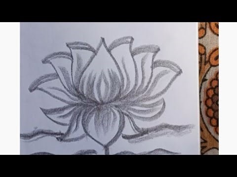 How To Draw A Easy Lotus Sketching #drawing #video@easy drawing path