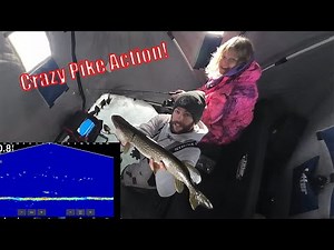LiveScope Pike Bites – Ice Fishing for Pike with Jig Rods
