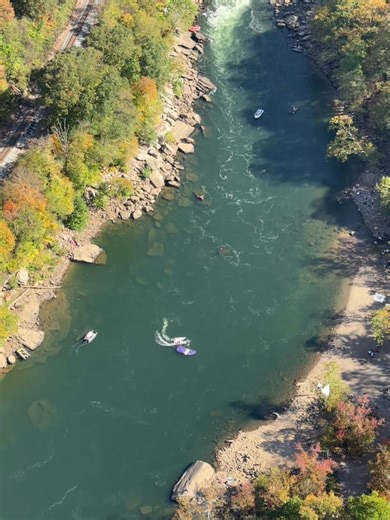 1.1K views · 41 reactions | What a day!! | David Mitchell | Facebook