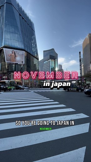 Visiting Japan in November: Best Time to See Autumn Leaves and Festivals