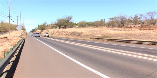 Council divided over controversial housing development in South Maui