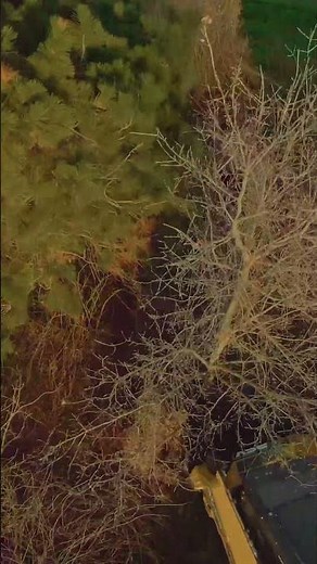 Digging Tree Puller Skid Steer Attachment | Virnig Manufacturing